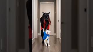 "Trust no one." #catcontent #catdrama #catanimation #aicats #don #catlife #animatedcats #cat