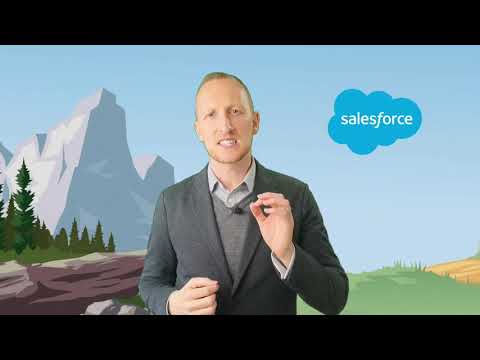 Get good access to Salesforce Admin / Dev resources to drive user adoption