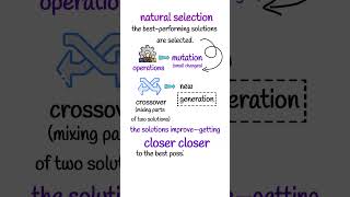 What is an Evolutionary Algorithm? Explained for Beginners