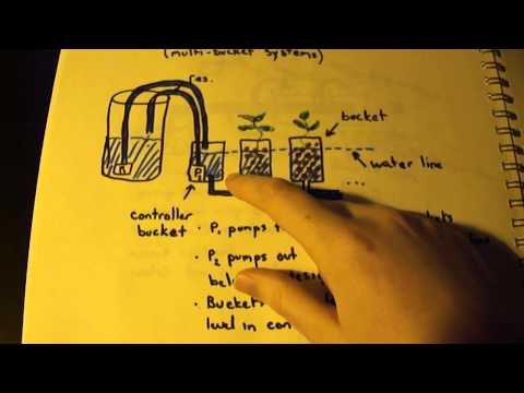 Basic Hydroponic Theory