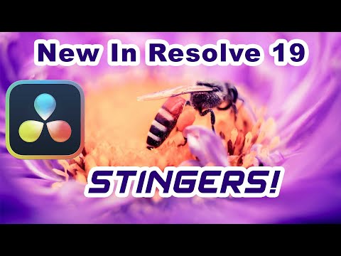 New Resolve 19 B6 Stinger Transitions