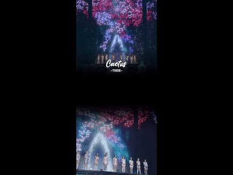 #Cactus #TWICE #4thWorldTour #ONCE #Jihyo #ang #트와이스 #원스 #지효 #앙 #선인장