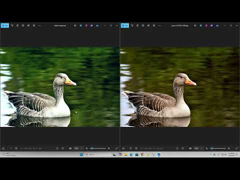 Lightroom Alternative in the Browser Built with Pure HTML, CSS and JavaScript