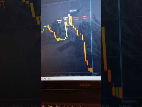 Четвероногий дал СИГНАЛ на 1000$ #бинарныеопционы #обучениетрейдингу #trading #трейдинг #инвестиции