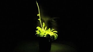 3-D Printing DNA: Hacking Life's Code and Creating New Organisms