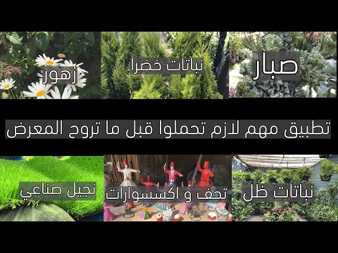 جولة في خمس دقايق لكل حاجه في معرض الزهور بالأسعار