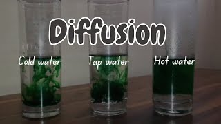 The Effect of Temperature on the Rate of Diffusion