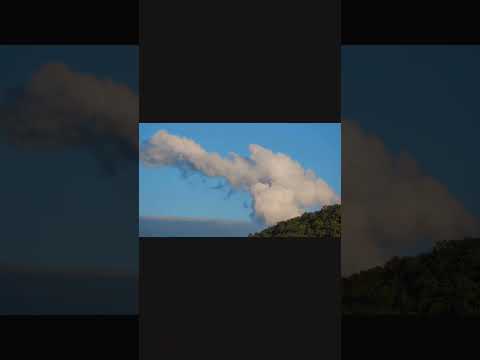 🌳💧 #Kenya #jazamiti #nationaltreeplantingday  #LittleEinsteinsEastAfrica #STEAMLearning #trending