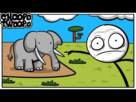 The World’s Favorite Animals