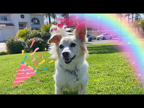 100 subscroobers??