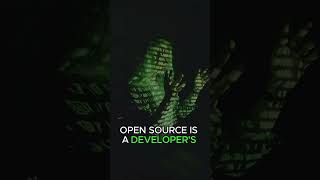 5 FUN FACTS About Developers #shorts #developer #fun