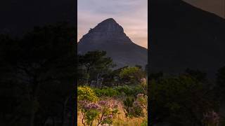 A MUST-VISIT Lions Head   LuxuryTravel #CapeTownAdventure #LionsHead #SignalHill #BreathtakingViews