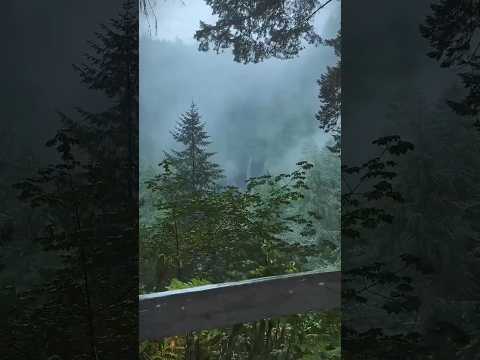 “The Cruelest Prison? It’s in Your Mind” #Mindset