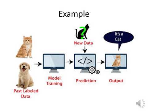Decision Tree
