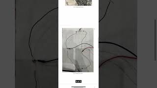 Visual Evidence Video