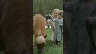 DogMemes #DogReaction #ChienMarrant #PetitChien #ChienDrôle #ChiensMignons #ChiensDrôles
