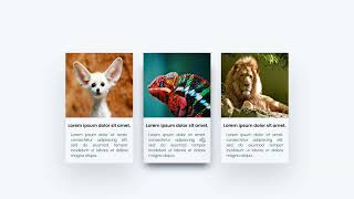 HTML And CSS Post Cards//Our work Section show #shorts