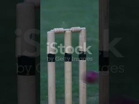 Cricket match video #must watch #india #talented guyz#education