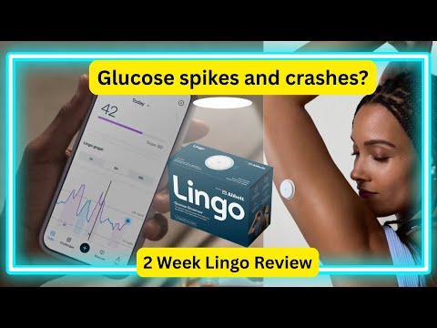 Why Does My Blood Sugar Crash? | Lingo 2-Week Test | What is going on !?!