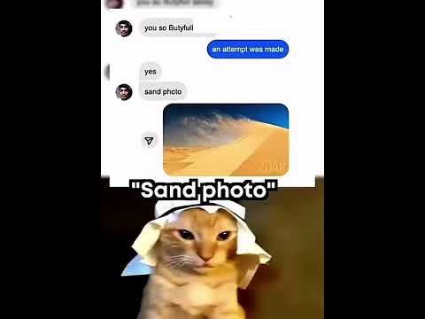Sand photo #sand #desert #cat #fyp #meme #funny