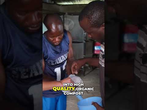 Why Black Soldier Flies are the Future of Sustainable Composting