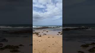 Austinmer dog beach  #sydneywalk #travel #sydneywalktour #dogbeachesofsydney #sydneybeaches