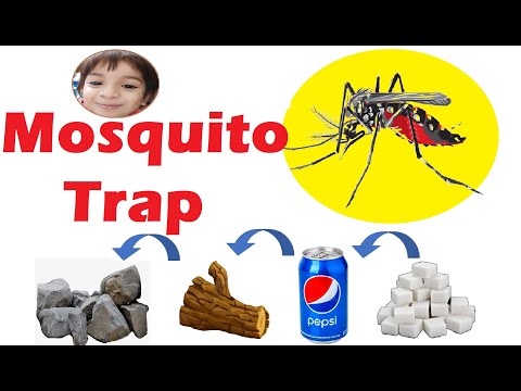 Mosquito Trap- Very Interesting 😍😍😍