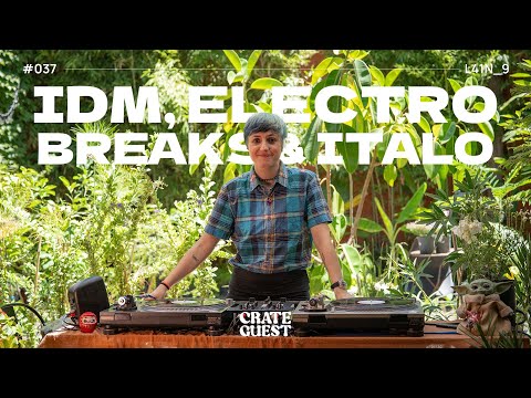 IDM, Electro, Breaks & Italo vinyl mix - L41N_9