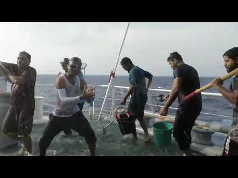 AMI BONOFULL GO DANCE ON SHIP