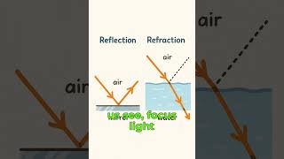 Reflection and Refraction #Physics #ScienceShorts #QuickPhysics