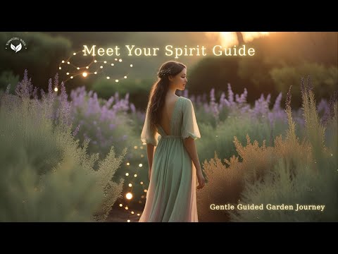 Meet Your Spirit Guide | Gentle Guided Meditation for Beginners
