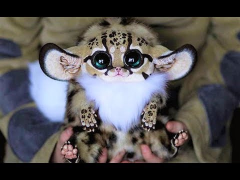 Toys You’ll Want As An Adult