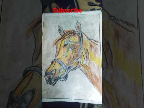 horse panting#short/sketch