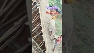 jina kese banane#sorts#staircase#buildingstairs #construction#civilengineering#tirending