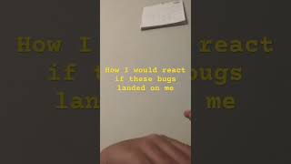 I HATE bugs. #ihatebugs #bugsaregross #ewbugs #bugphobia #bugfreezone #bugslife