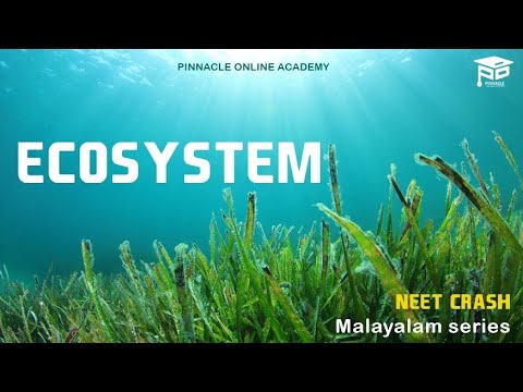 Ecosystem NEET Malayalam VNM