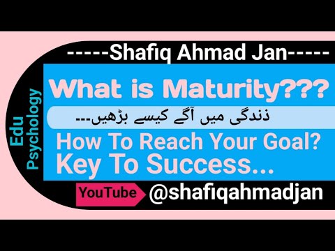 What is Maturity ? Maturity level.