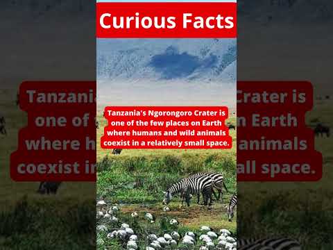 Tanzania's Ngorongoro Crater.