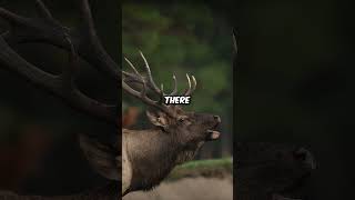 Want more? Click the link in my profile! #ExclusiveContent #LinkInBio #DareToClick