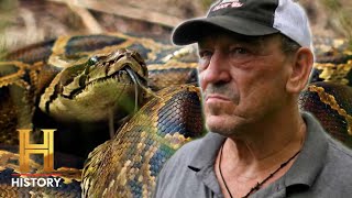 Master Snake Hunter Gets His Kill | Swamp People: Serpent Invasion (Season 4) | History