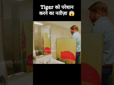 Tiger को मारा पत्थर फिर जो हुआ😱 #shorts #shortsfeed #shortvideo #tiger