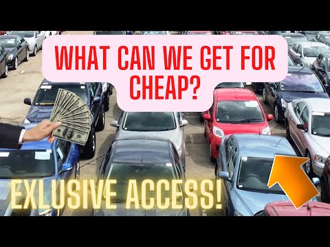 How CHEAP Are Cars at DEALER ONLY Auction!? Exclusive Access Auction!