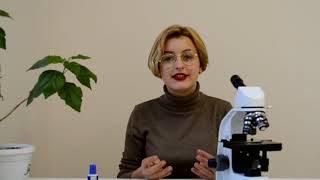 #дівчатаSTEM Просоленко Мар'яна