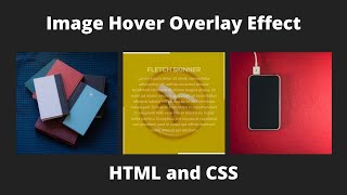 Create a Image Hover Overlay Effects | CSS Image Hover Effects | HTML CSS Effect | 2022
