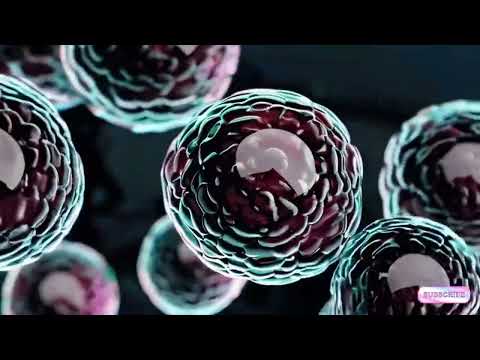 Visual AI GLASS DIVISION of LIFE #visualambiance #psychedelictrance #relaxation