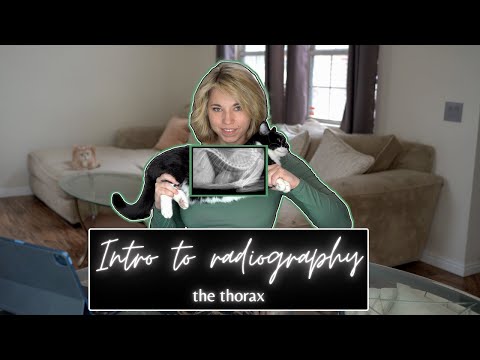 Vet Med: Intro to Thoracic Radiography