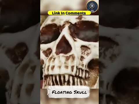 Top Best Magnetic Levitating 3D Skull on Amazon in 2024