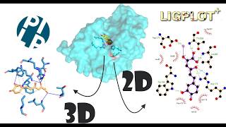 APRENDA GERAR IMAGENS 2D e 3D COM LigPlot+ E PLIP
