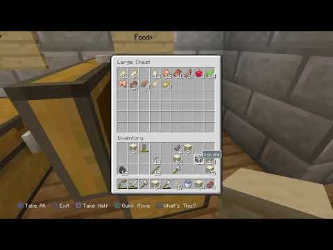Minecraft Survival, Continued *Live* (Part 6)