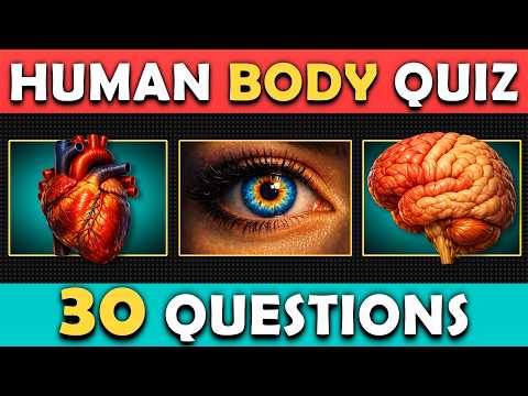 Do You Really Know the Human Body?